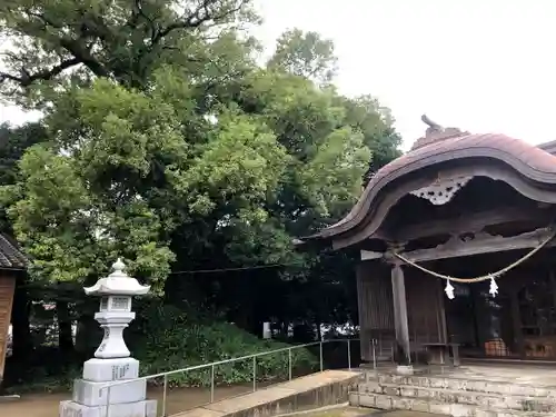 八幡神社の本殿・本堂