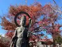 慈眼院(清光寺)の仏像