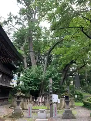 小室浅間神社のその他建物