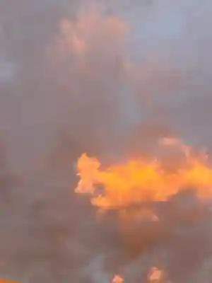 櫻木神社(千葉県)