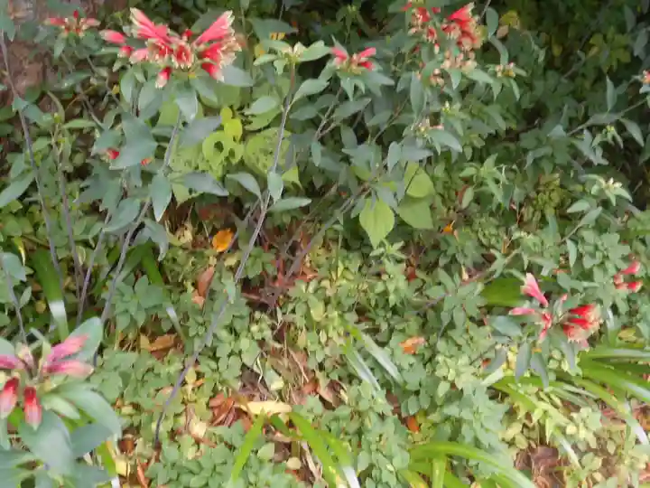 須磨稲荷大明神・和佐稲荷大明神の自然