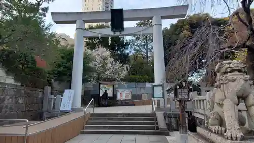 乃木神社の鳥居