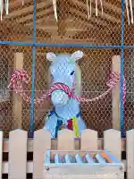 御香宮神社(京都府)