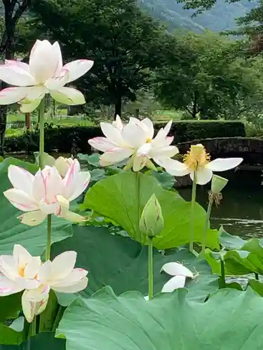 大塩八幡宮の自然