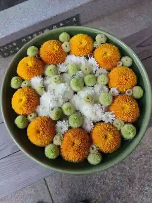 滑川神社 - 仕事と子どもの守り神の手水舎