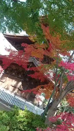 豪徳寺の塔