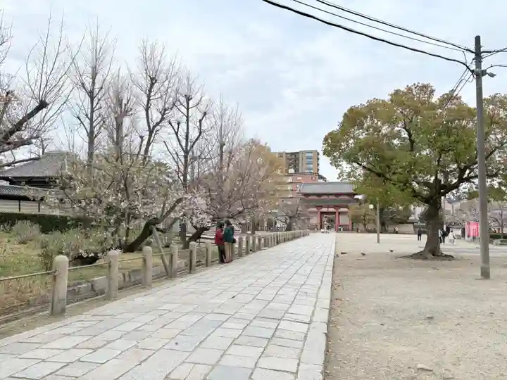 四天王寺(大阪府)