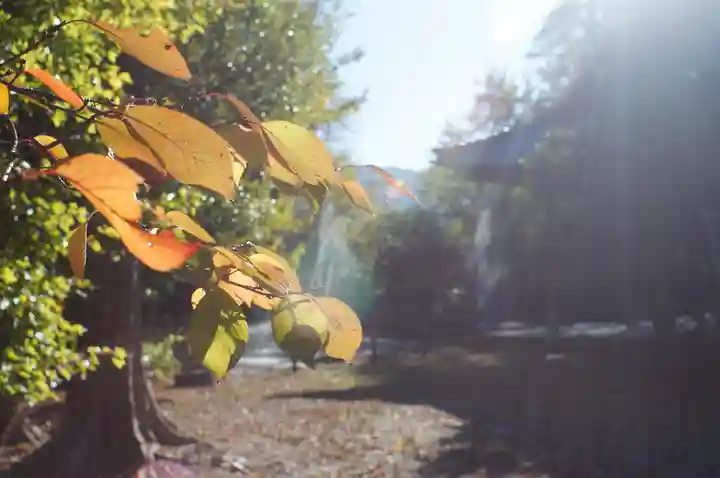 氣比神宮(福井県)