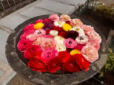 真言宗　善通寺派　薬王寺(香川県)