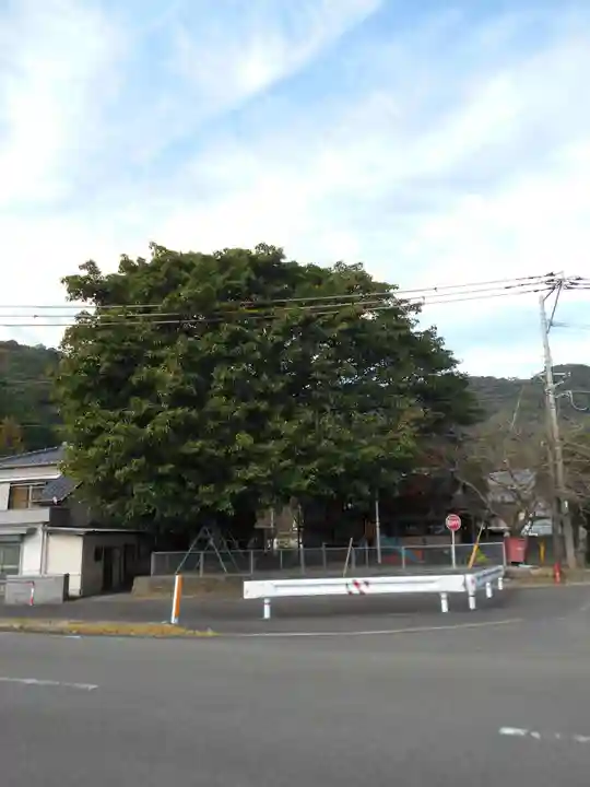 永目神社(熊本県)