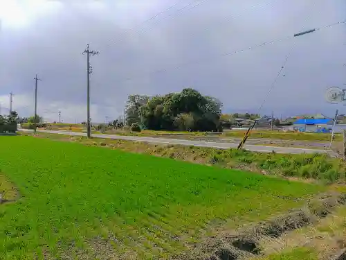 塩田神社の自然