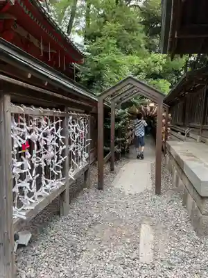 川越氷川神社(埼玉県)