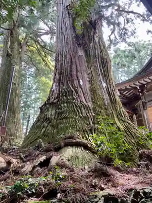 鷲子山上神社(栃木県)