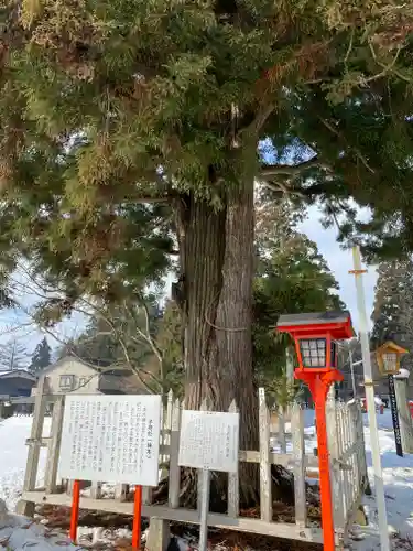 清水寺(岩手県)