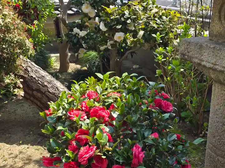 門戸厄神東光寺(兵庫県)