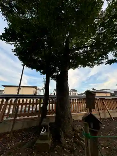 科野大宮社(長野県)