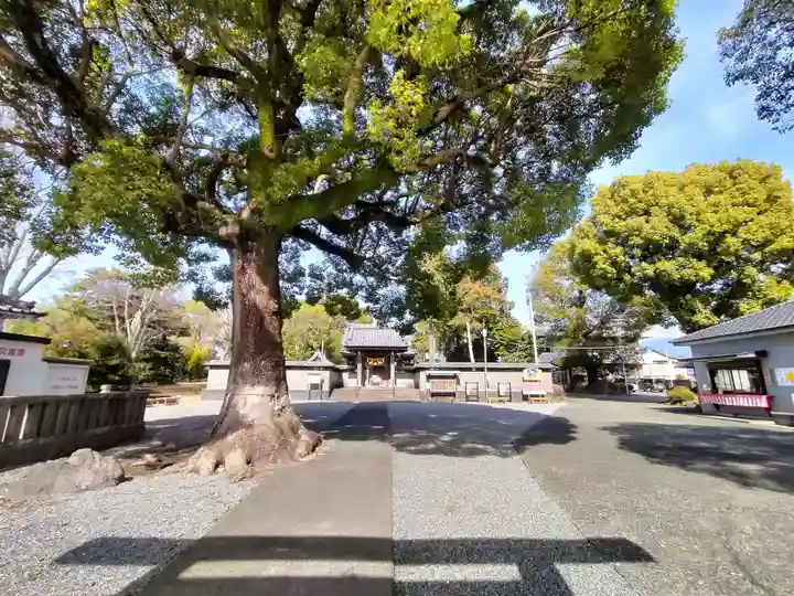 日吉浅間神社(静岡県)