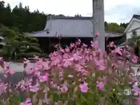 皆福寺(愛知県)