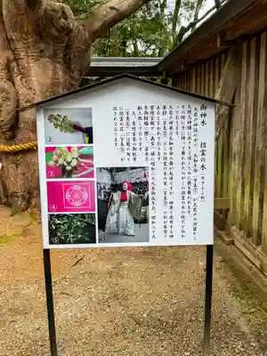 天岩戸神社(宮崎県)