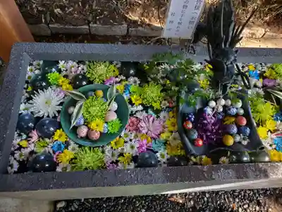 下野 星宮神社(栃木県)