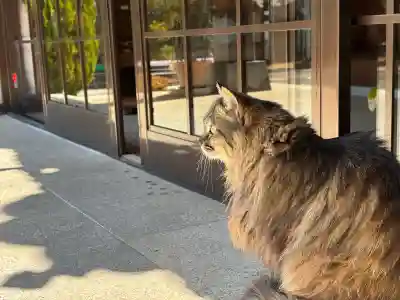 山梨縣護國神社の{uncategorized: "未分類", other: "その他", undefined: "問題あり", building: "その他建物", grave: "お墓", sacred_gate: "鳥居", guardian: "狛犬", statue: "像", buddha: "仏像", history: "歴史", nature: "自然", garden: "庭園", animal: "動物", pagoda: "塔", temizu: "手水舎", mountain_gate: "山門・神門", sanctuary: "本殿・本堂", subordinate: "末社・摂社", art: "芸術", scenery: "景色", jizo: "地蔵", ema: "絵馬", goshuin: "御朱印", omikuji: "おみくじ", items: "授与品その他", amulet: "お守り", goshuincho: "御朱印帳", eats: "食事", festival: "お祭り", votive_dance: "神楽", shichigosan: "七五三参", wedding: "結婚式", experience: "体験その他", initially: "初詣", around: "周辺", anti_infection: "感染症対策"}