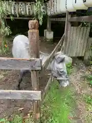 大石神社の動物