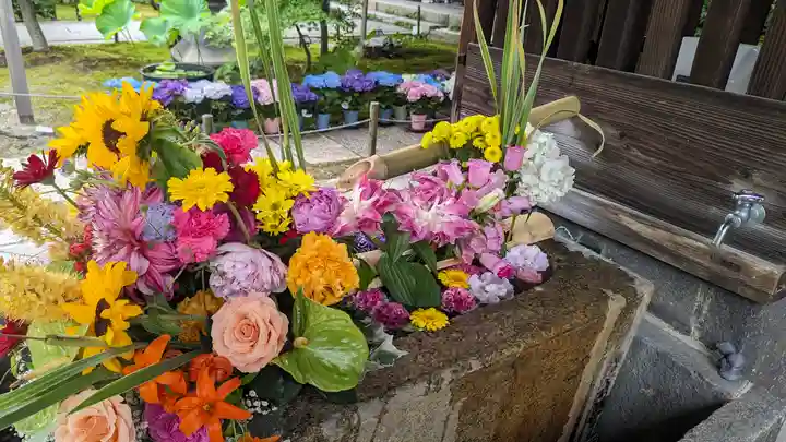 勝林寺(京都府)
