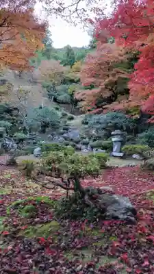 清滝寺徳源院(滋賀県)