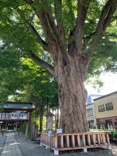 住吉神社の自然