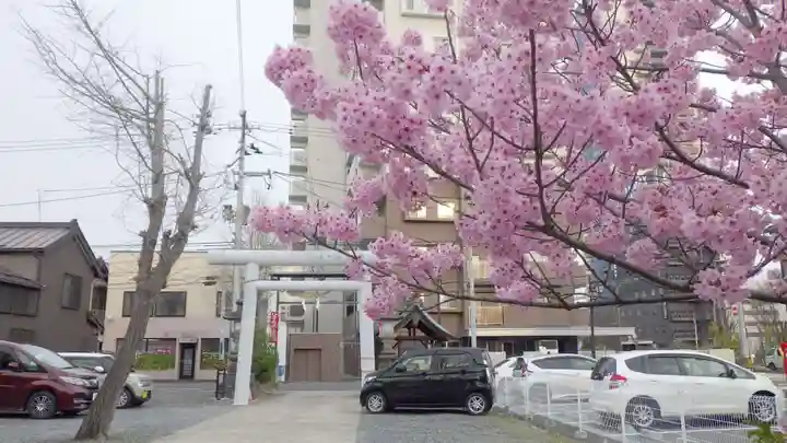 阿邪訶根神社の自然