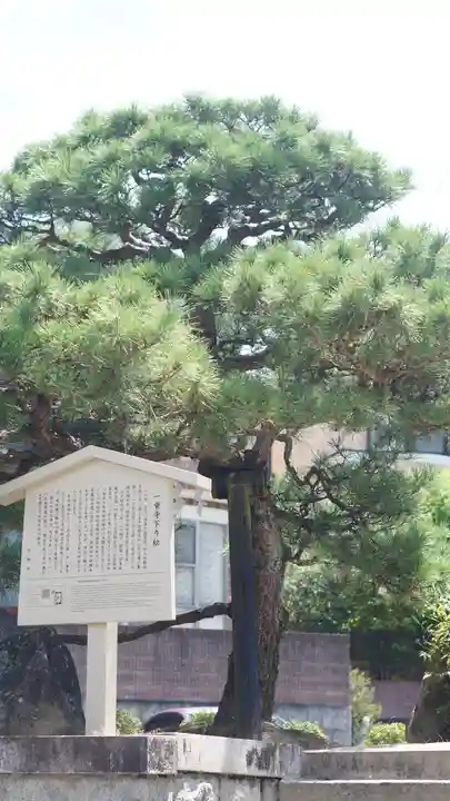 八大神社(京都府)