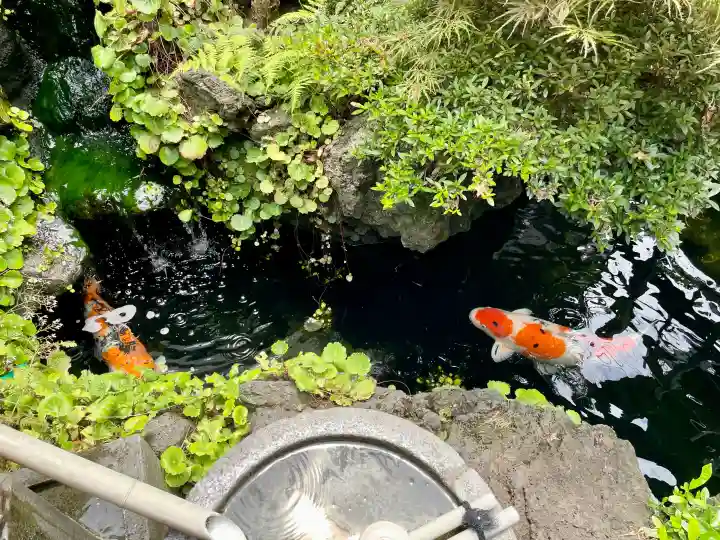 妙見寺(東京都)