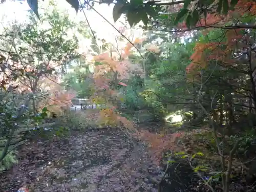 鶴岡八幡宮の自然