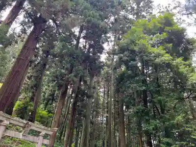 大宮温泉神社(栃木県)