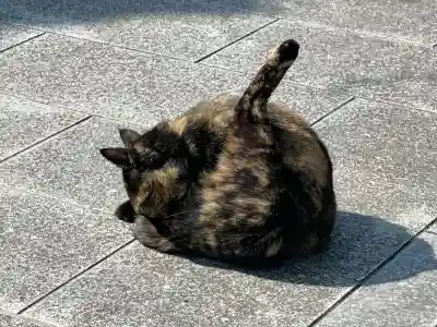 大興寺(香川県)