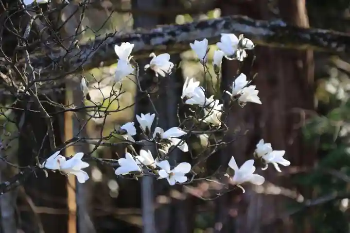 紀伊宮神社の自然