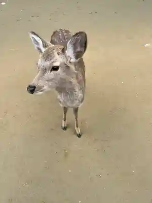 東大寺鐘楼(奈良県)
