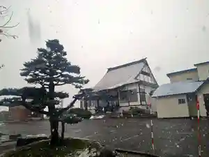 雨竜 専福寺(北海道)(2024年11月07日(木) 19時36分16秒投稿)