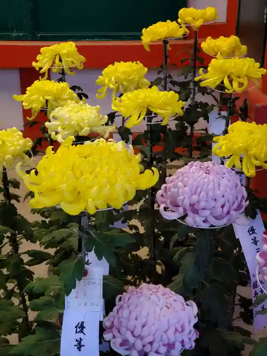 武蔵一宮氷川神社(埼玉県)