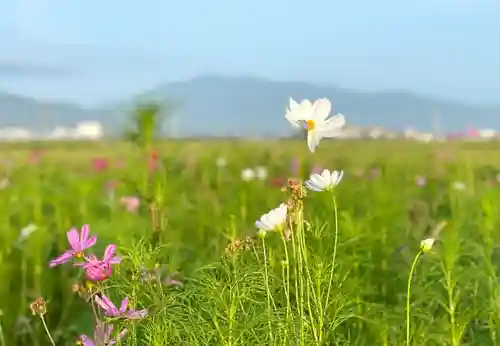 伊勢の国 四天王寺(三重県)