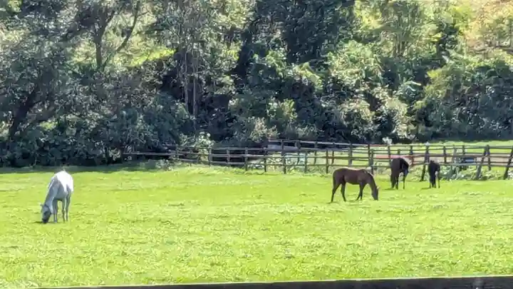 西様似神社の周辺