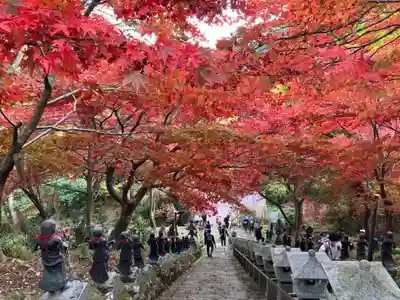 大山寺(神奈川県)