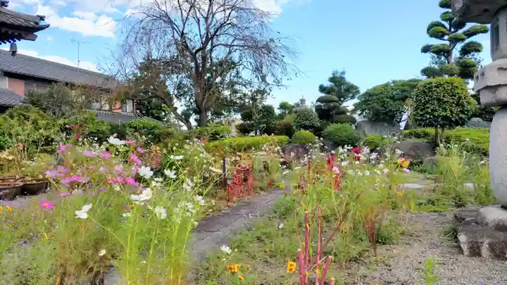 全龍寺(埼玉県)