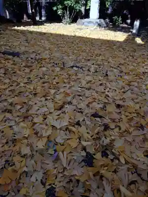 初音森神社(東京都)