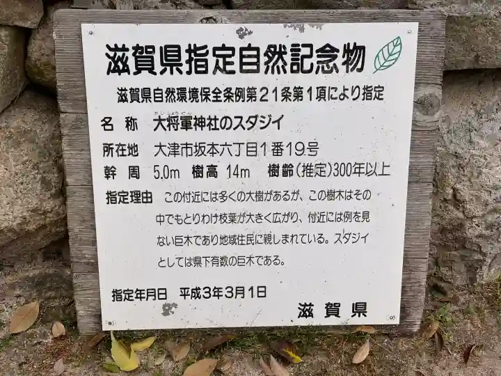 大将軍神社の{uncategorized: "未分類", other: "その他", undefined: "問題あり", building: "その他建物", grave: "お墓", sacred_gate: "鳥居", guardian: "狛犬", statue: "像", buddha: "仏像", history: "歴史", nature: "自然", garden: "庭園", animal: "動物", pagoda: "塔", temizu: "手水舎", mountain_gate: "山門・神門", sanctuary: "本殿・本堂", subordinate: "末社・摂社", art: "芸術", scenery: "景色", jizo: "地蔵", ema: "絵馬", goshuin: "御朱印", omikuji: "おみくじ", items: "授与品その他", amulet: "お守り", goshuincho: "御朱印帳", eats: "食事", festival: "お祭り", votive_dance: "神楽", shichigosan: "七五三参", wedding: "結婚式", experience: "体験その他", initially: "初詣", around: "周辺", anti_infection: "感染症対策"}