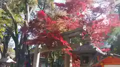 八坂神社(祇園さん)の鳥居