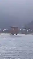 厳島神社の鳥居