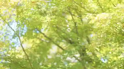 詩仙堂(丈山寺)(京都府)