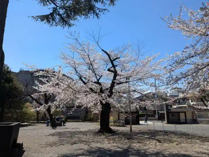 寛永寺(根本中堂)(東京都)