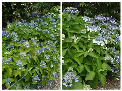 石坐神社(滋賀県)